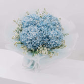 Hydrangea Azure Bloom